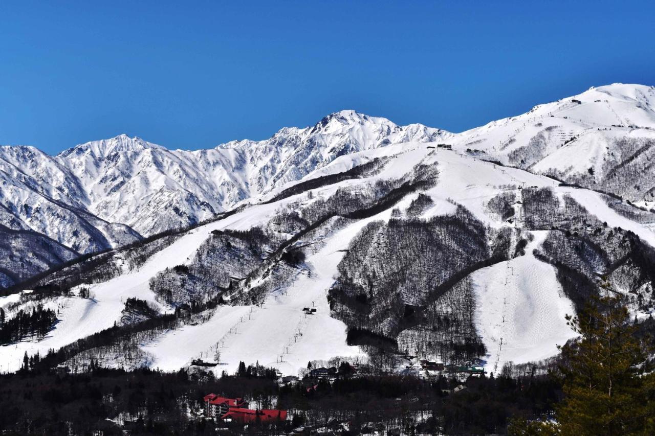 La Neige Honkan 4* 白马村
